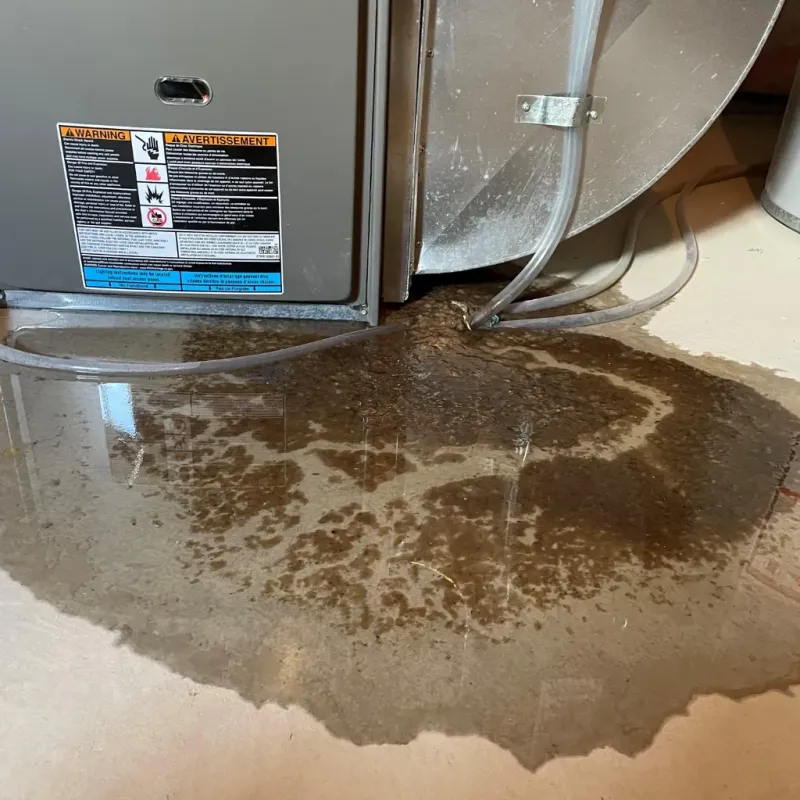Appliance Leak Cleanup in Brush Fork, WV