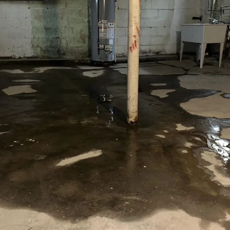 Emergency Water Extraction And Removal in Brush Fork, WV